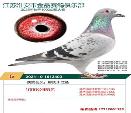 ������Ʒ1000����5��