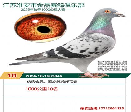 ������Ʒ1000����10��