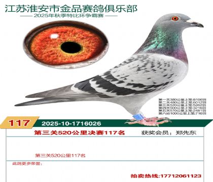 淮安金品决赛117名