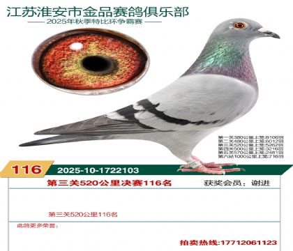 淮安金品决赛116名