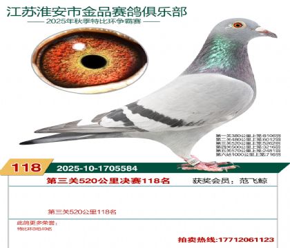 淮安金品决赛118名