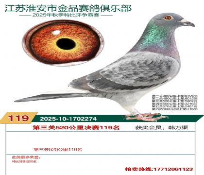 淮安金品决赛119名