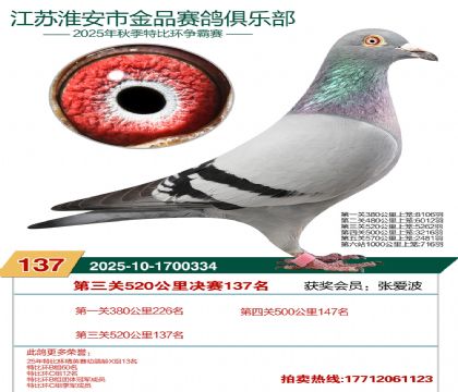 淮安金品决赛137名