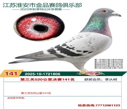 淮安金品决赛141名