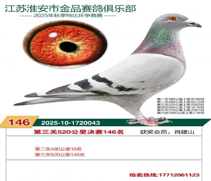 淮安金品决赛146名