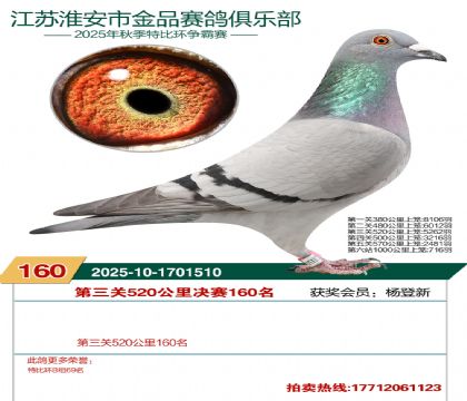 ������Ʒ����160��