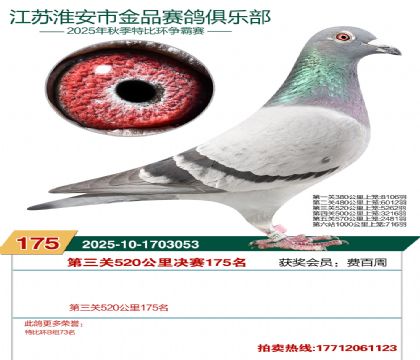 ������Ʒ����175��