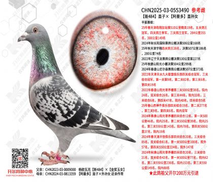 ��484ֱ�ӡ�������ֱ��Ů