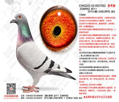 �������ֱ�ӡ������������ظ�������ֱŮ