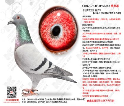 ����õ��ֱ�ӡ�23�꿪�������Ĺظ���26��