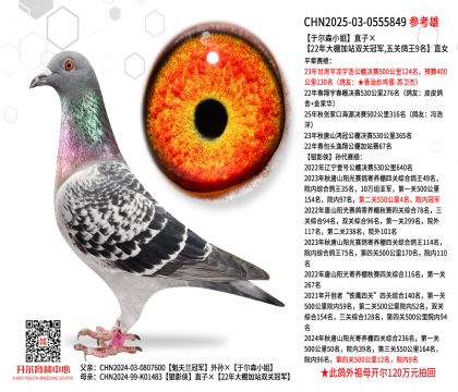 �ڶ�ɭС��ֱ�ӡ�22������վ˫�عھ��� ��ظ���9��ֱŮ