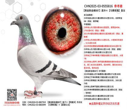 �ƽ��½�ķ887ֱ�������õ��ֱŮ