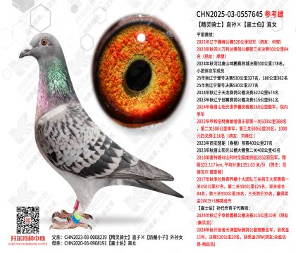 ������ʿֱ�����ʿ��ֱŮ