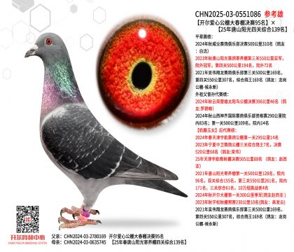 �������Ĺ���������95����25����ɽ�����Ĺ��ۺ�139��