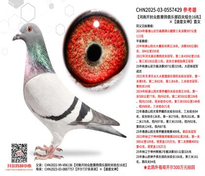 ���Ͽ�����ʤ������ֲ��Ĺ��ۺ�16�����ٶ�Ů��ֱŮ