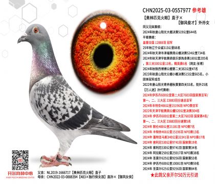 ����ƥ�˻���ֱ�ӡ����翡������Ů