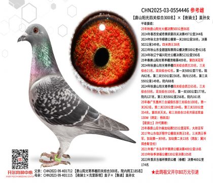 ��ɽ�����Ĺ��ۺ�300����ҹ��ʿֱ��Ů