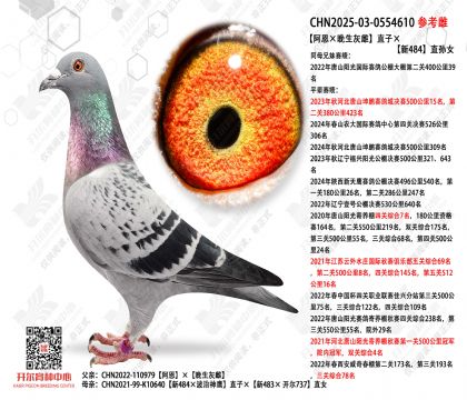 �������������Ҵơ�ֱ�ӡ���484ֱ��Ů