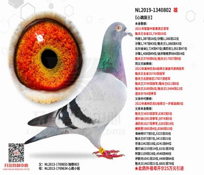 1����19-1340802