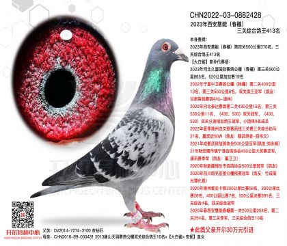 1����0882428