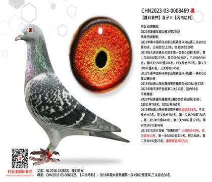 1����23-0008469