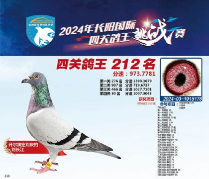 1����24-1915176