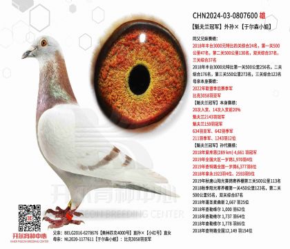 1����24-0807600