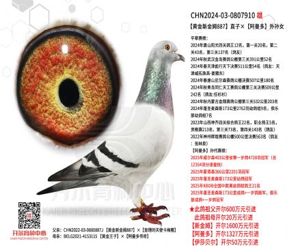 1����24-0807910