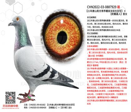 1����22-0887929