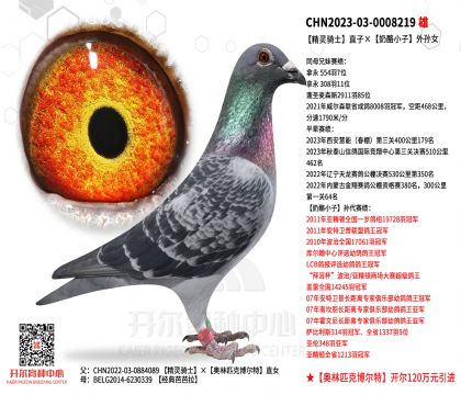 1����23-03-0008219