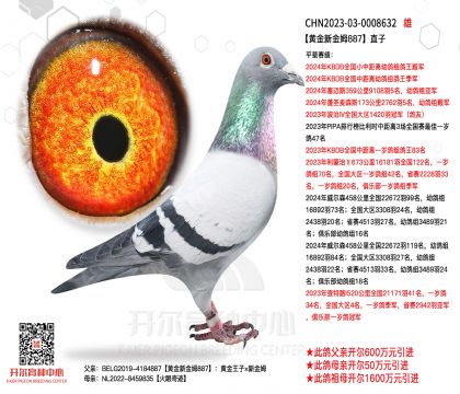 1����23-0008632