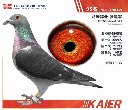 1����24-2780169