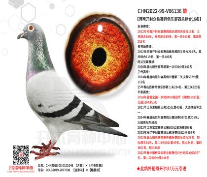 1����22-99-V06136