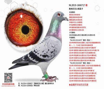 1����19-1666717