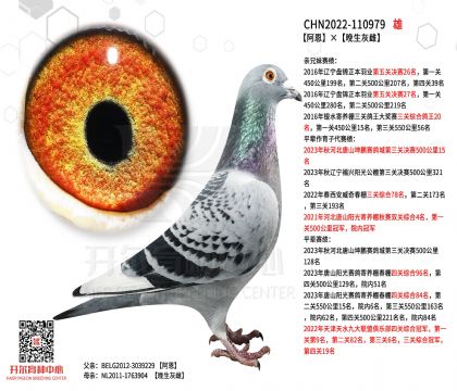 1����-110979