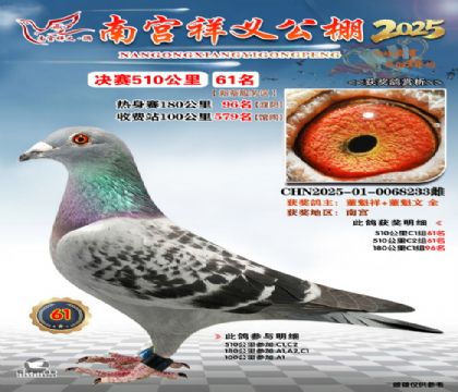 祥义公棚决赛61名