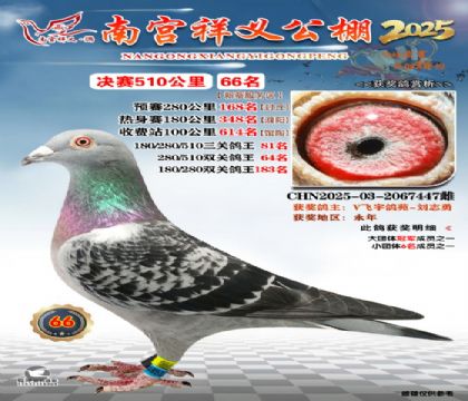 祥义公棚决赛66名