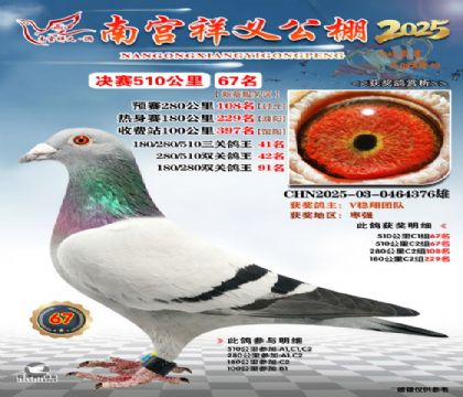 祥义公棚决赛67名