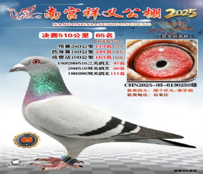 祥义公棚决赛65名