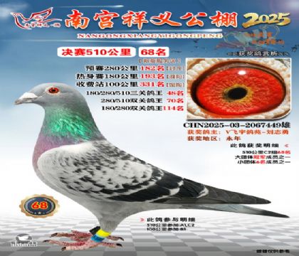 祥义公棚决赛68名