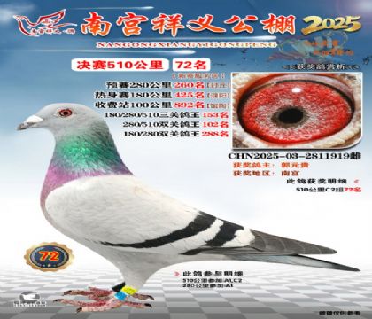 祥义公棚决赛72名