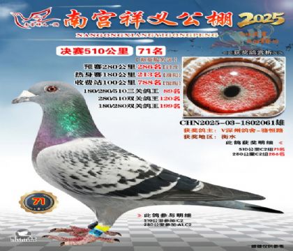 祥义公棚决赛71名