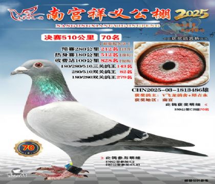 祥义公棚决赛70名