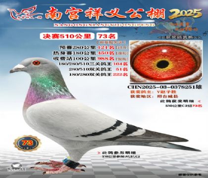 祥义公棚决赛73名