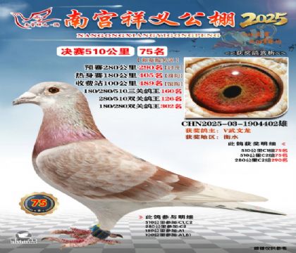 祥义公棚决赛75名