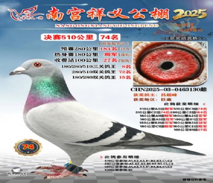 祥义公棚决赛74名