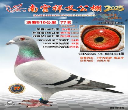 祥义公棚决赛77名