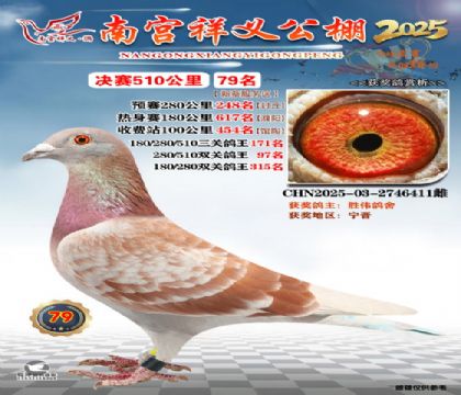 祥义公棚决赛79名