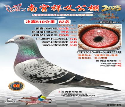 祥义公棚决赛82名