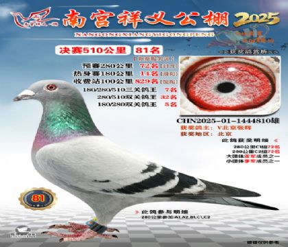 祥义公棚决赛81名